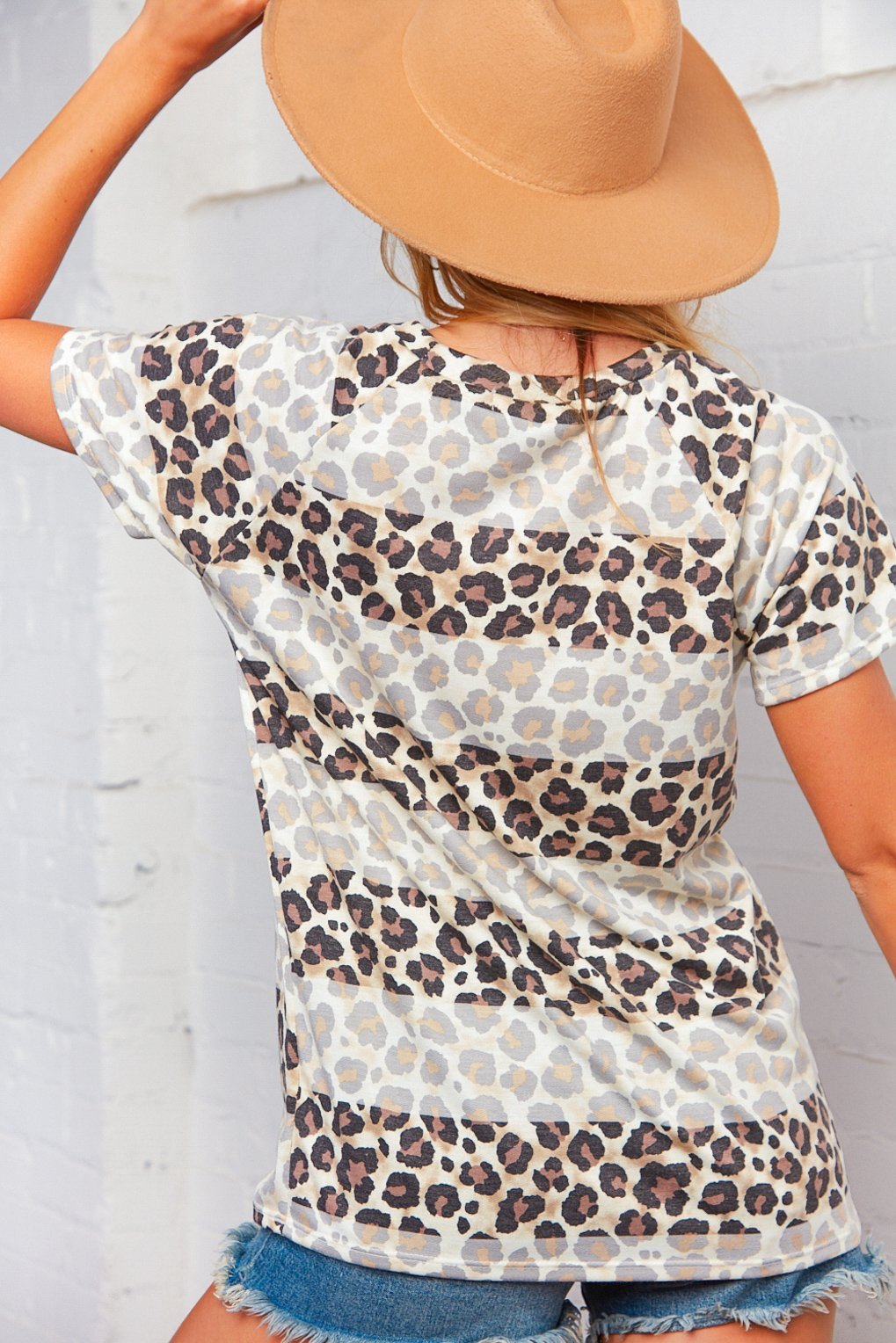 Leopard Stripe Raglan Knit Top
